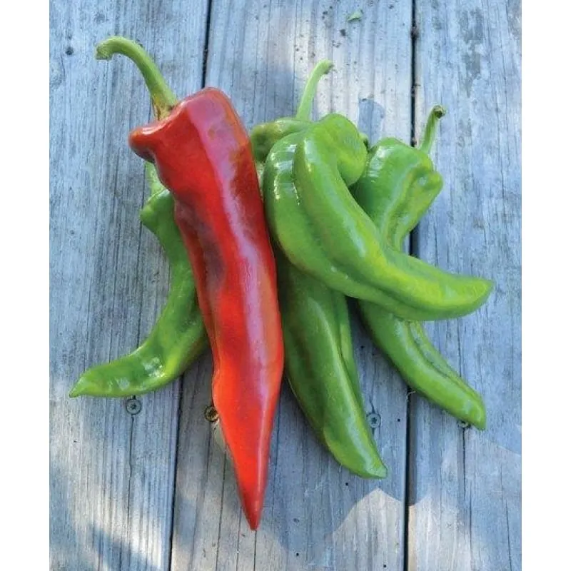 Corno Di Toro Pepper (Heirloom 72 Days)