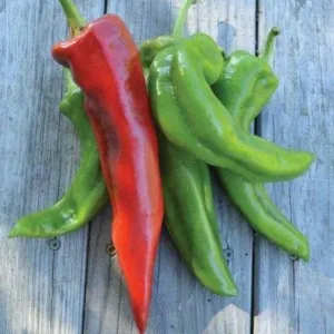 Corno Di Toro Pepper (Heirloom 72 Days)