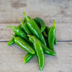Felicity Pepper (F1 Hybrid 65 Days)