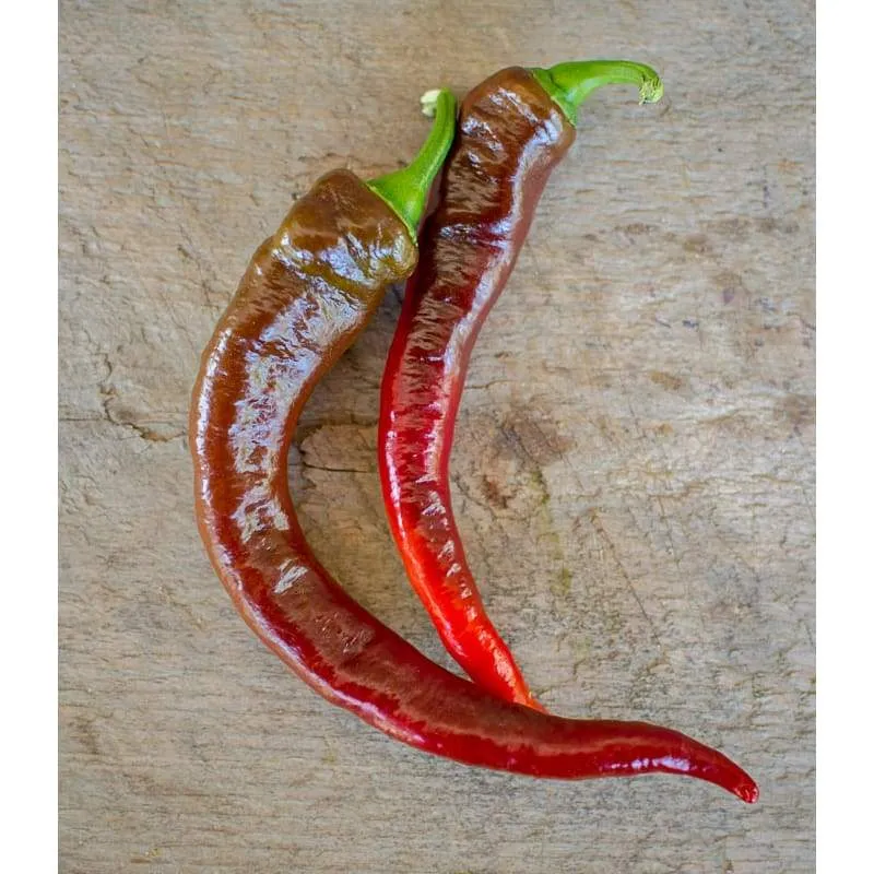 Jimmy Nardellos Pepper (Heirloom 80 Days)