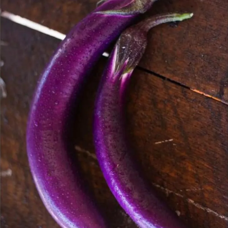 Pingtung Long Eggplant (Heirloom 66 Days)