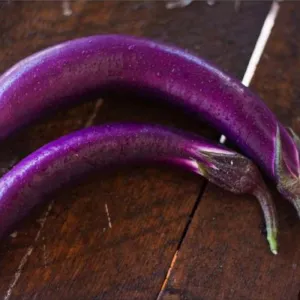 Pingtung Long Eggplant (Heirloom 66 Days)