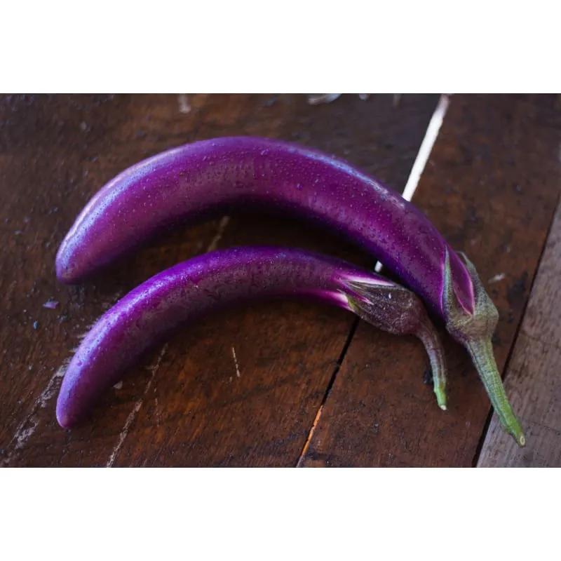 Pingtung Long Eggplant (Heirloom 66 Days)