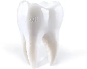 Porij- Teething