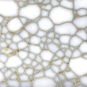 TruStone- White with Gold Web - 1.5" x 6"- 1 Piece